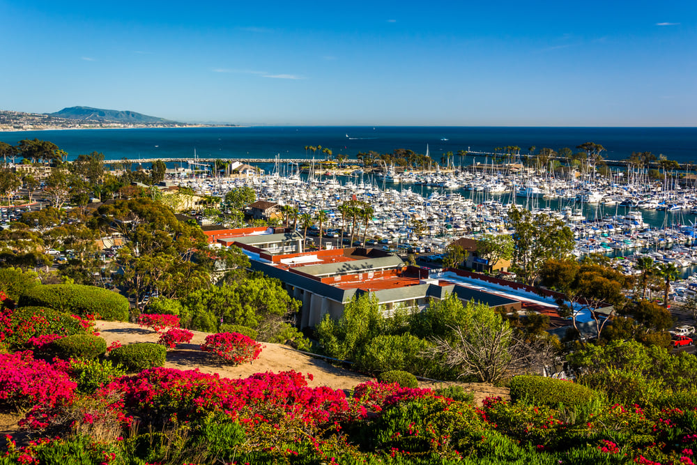 Flowers and view of the harbor from Heritage Park in Dana Point, California.