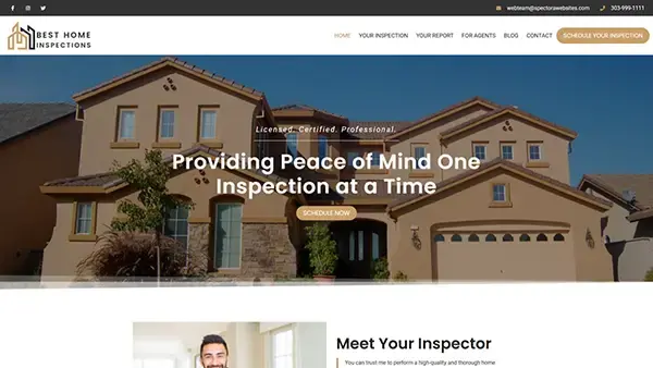 pro website demo 2