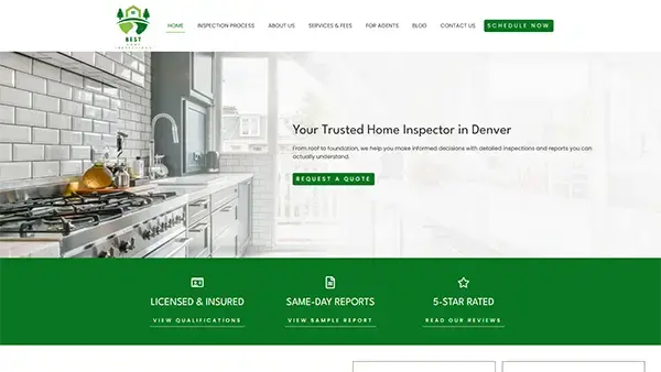 demo pro website 10